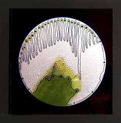 quot;Seltene Erden, oder wie ich das Virus begrüßte" Acryl + Zeichnung hinter Acrylglas © GINE SELLE 2020